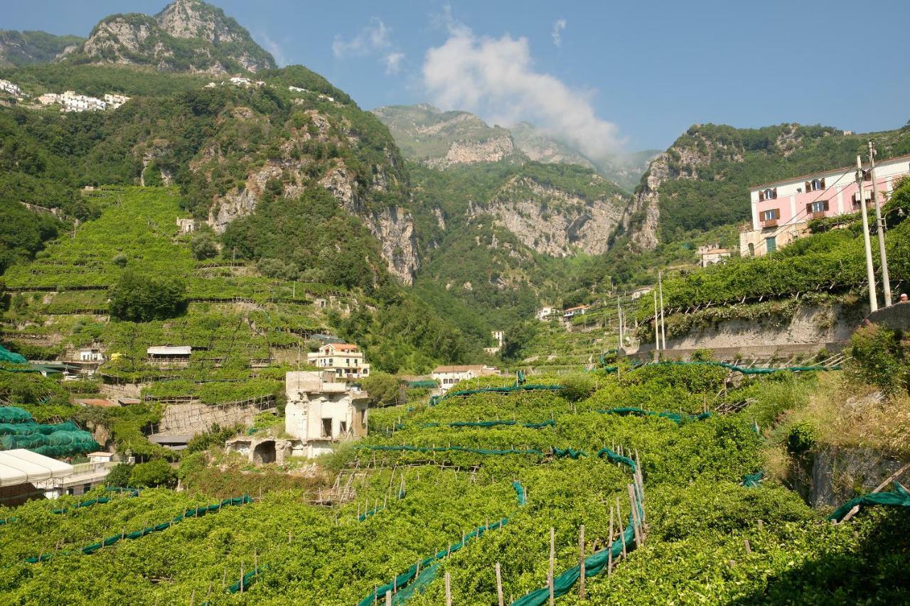 Villa Pricitella Amalfi Dış mekan fotoğraf