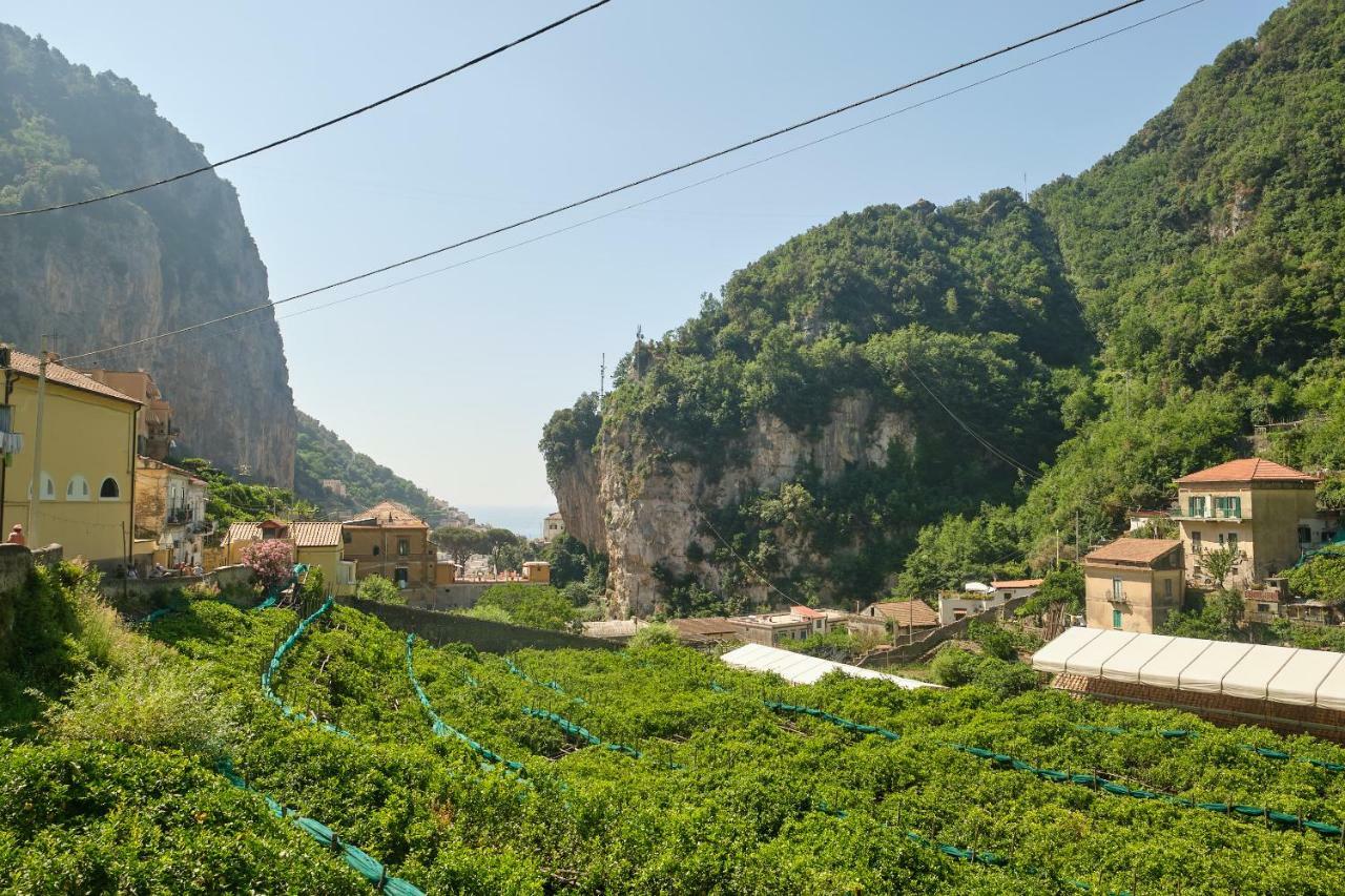Villa Pricitella Amalfi Dış mekan fotoğraf